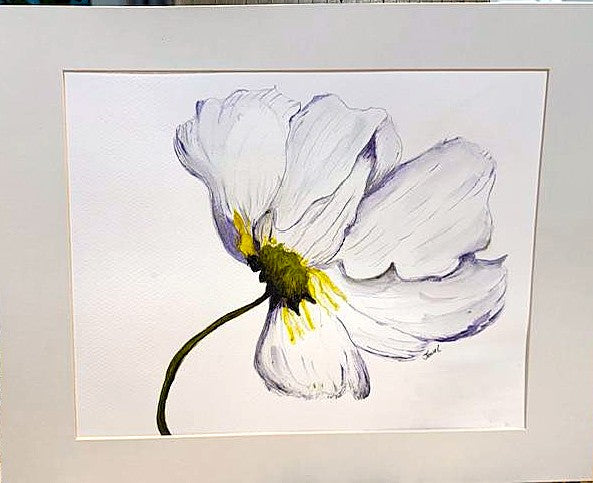 White Poppy Original Watercolor
