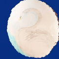 Swan Serving Tray