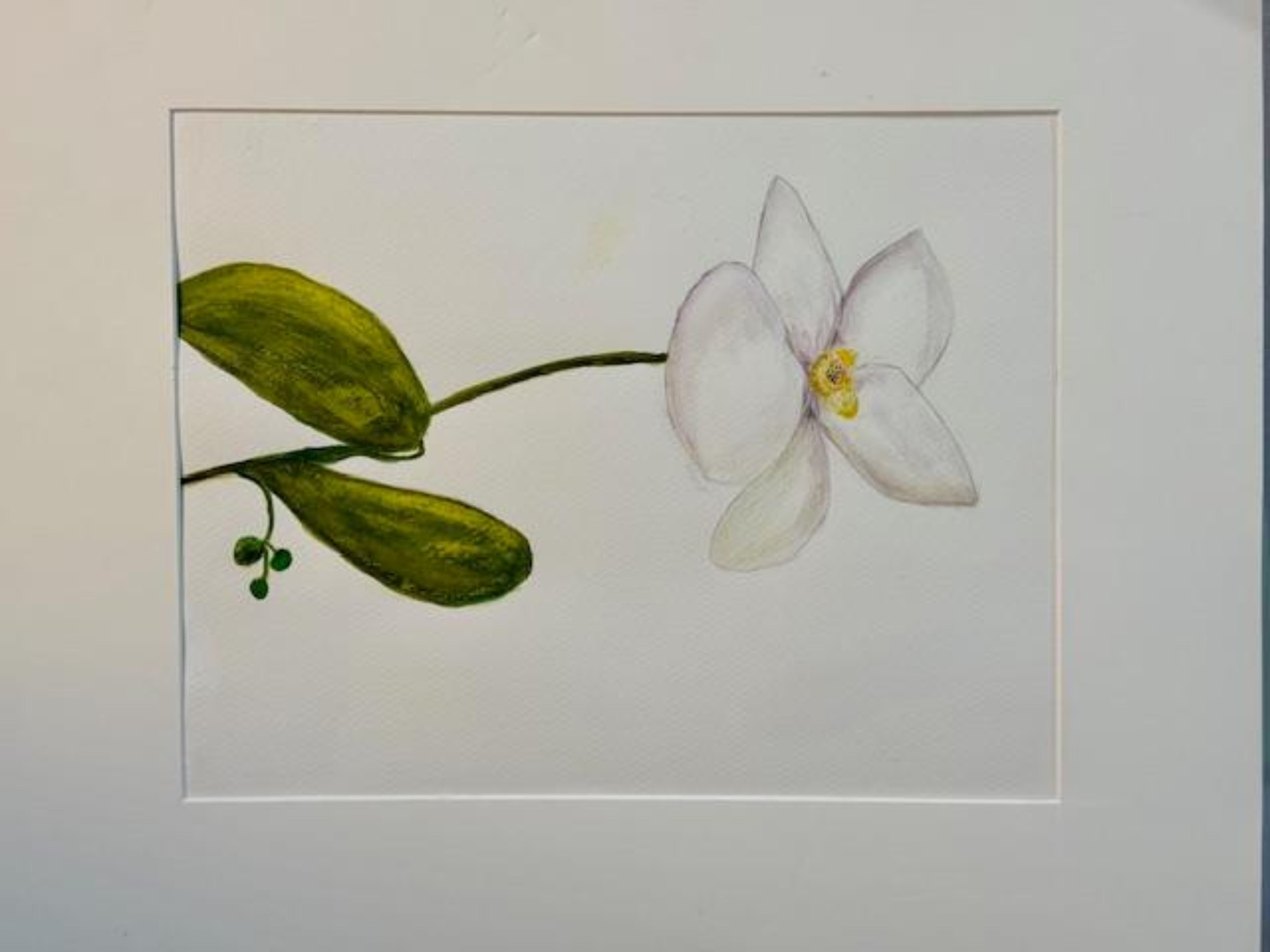 White Orchid Watercolor Painting
