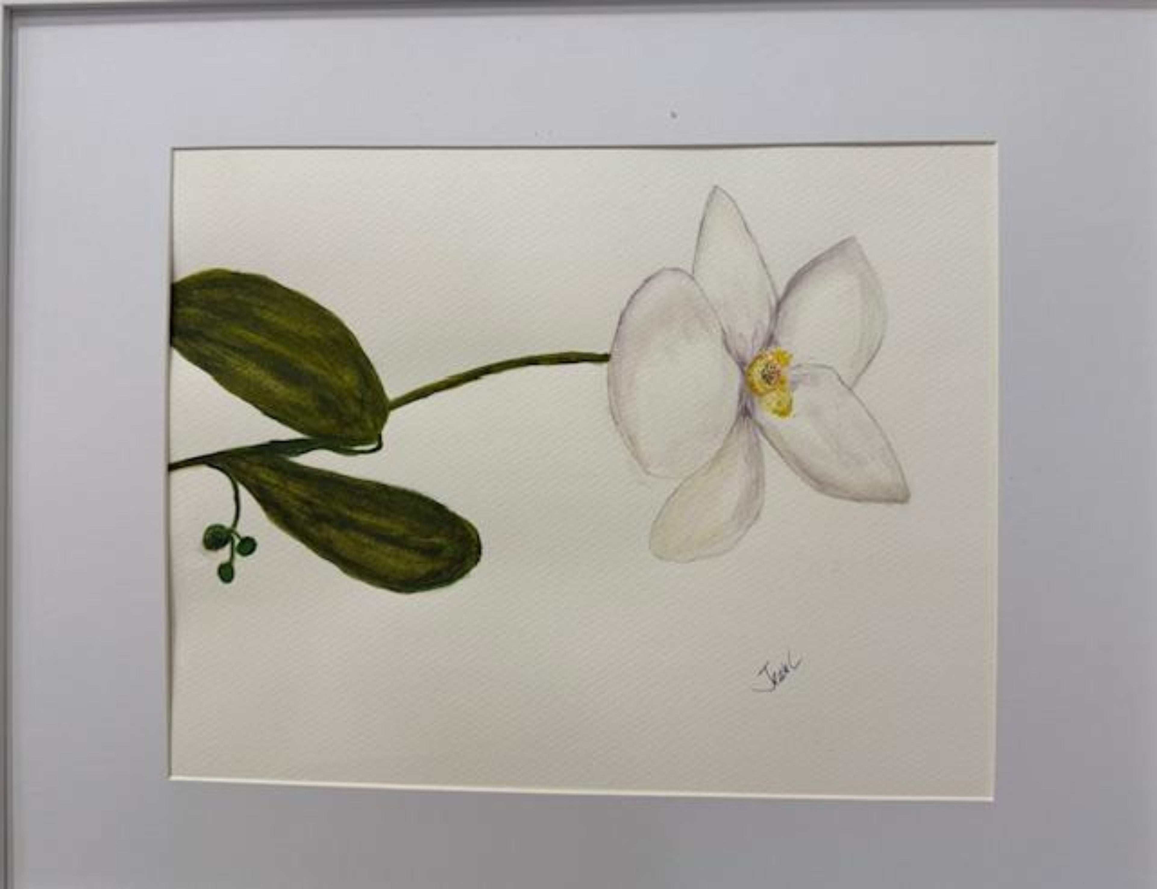 White Orchid Watercolor Painting